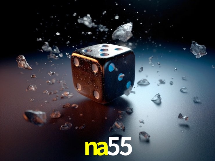 Plataforma na55 - Segurança SSL 256-bit
