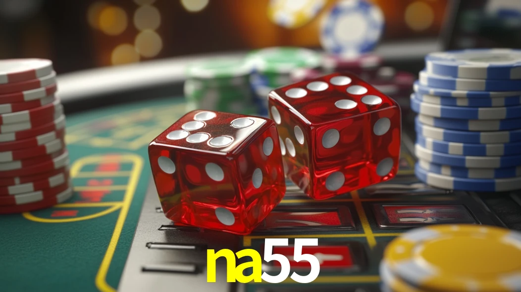 na55 App Interface